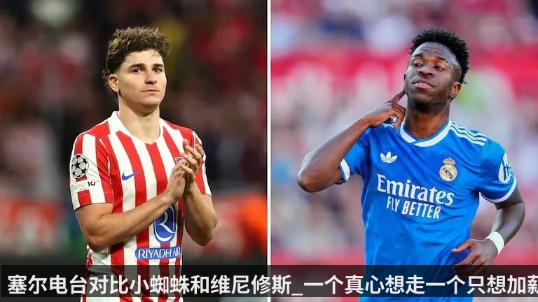 塞尔电台对比小蜘蛛和维尼修斯_一个真心想走一个只想加薪